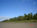 3-11 feb Flag Beach amiguitas + family (4)-thumb