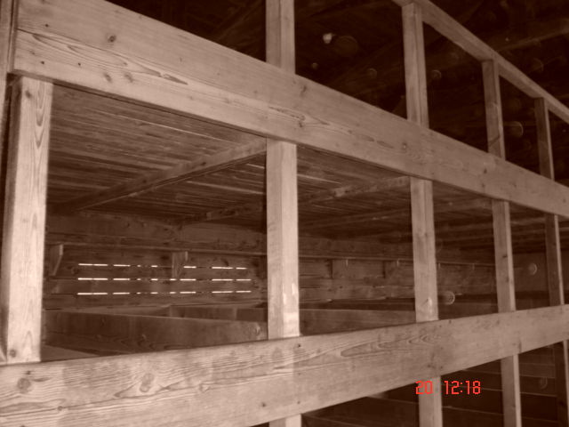 Mnich (10)