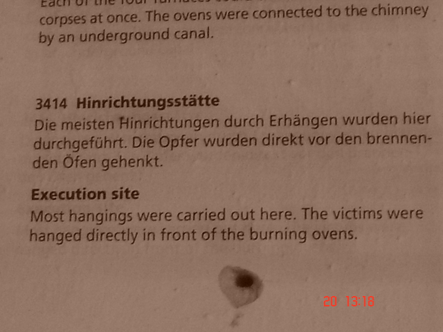 Mnich (72)