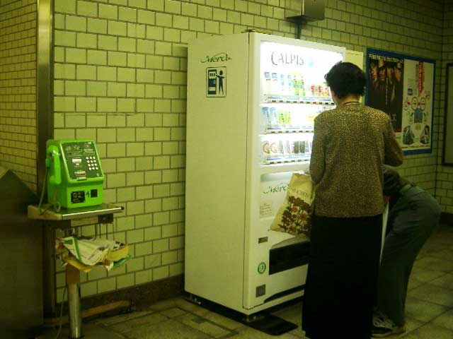 IMGP0629.jpg