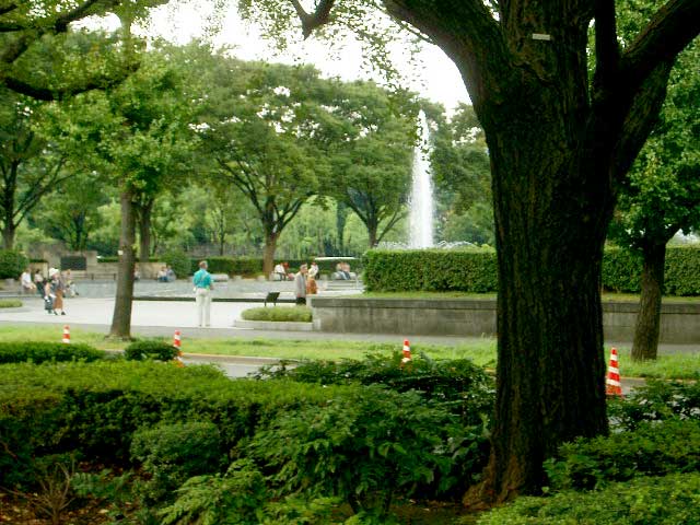 IMGP0664.jpg