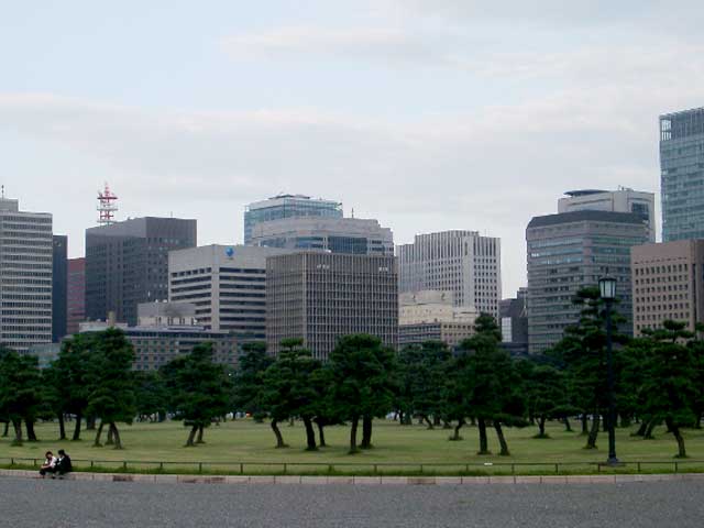 IMGP0677.jpg