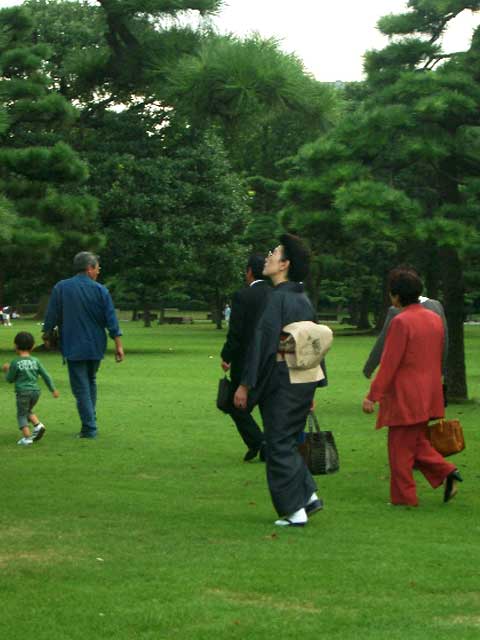 IMGP0678.jpg