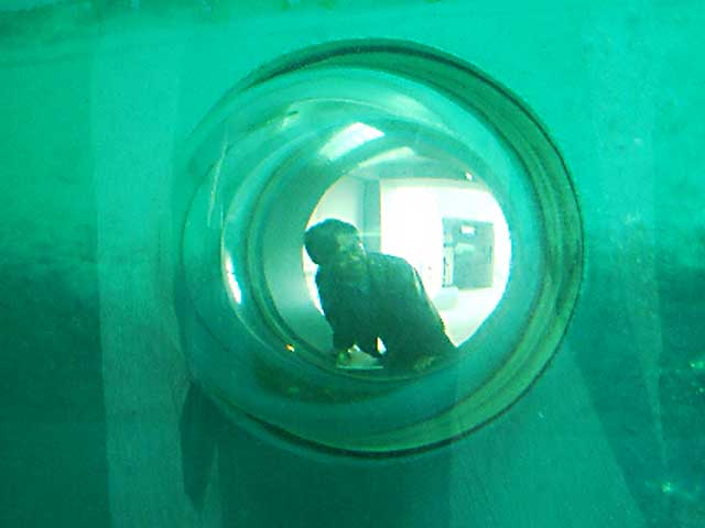 IMGP0869.jpg
