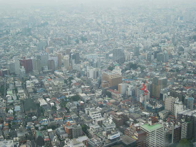 IMGP0932.jpg