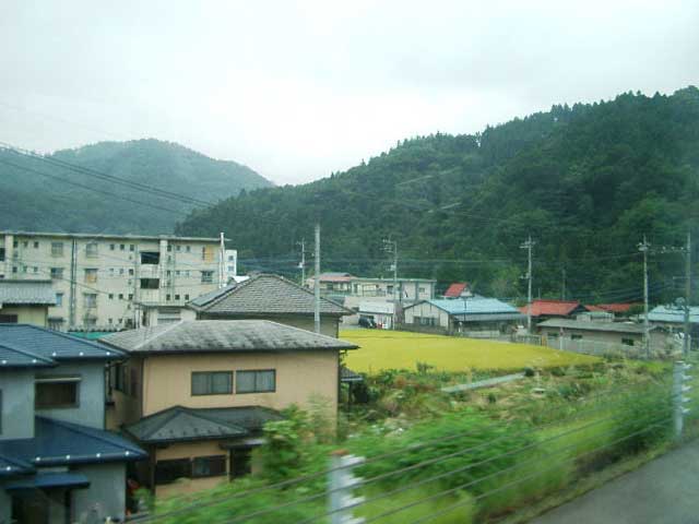 JAPON37.jpg